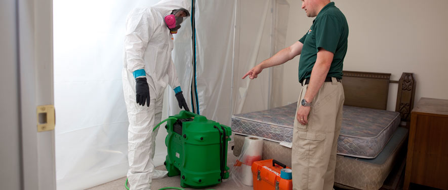 Clear Lake, TX mold removal process